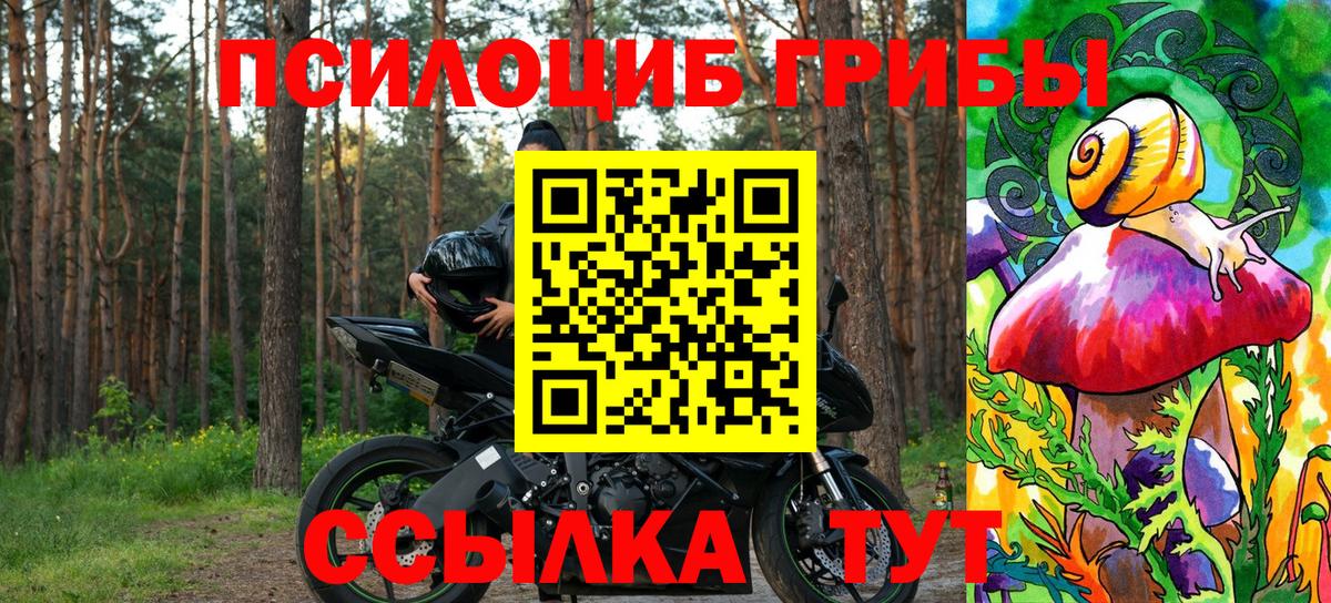 Галлюциногенные грибы мухоморы  Галлюциногенные грибы Magic Shrooms  Вход с VPN  как найти закладки  Торжок 